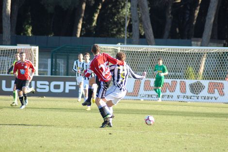 Ingrandisci la foto