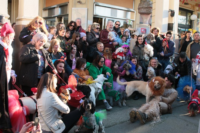 Guarda le foto della galleria 'Carnevalcentro (1° parte)'