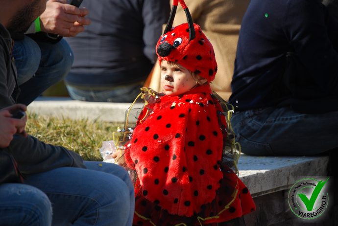 Ingrandisci la foto
