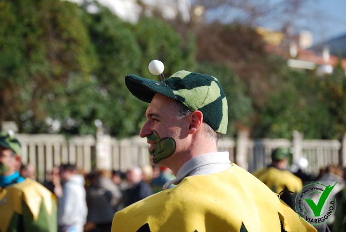 Ingrandisci la foto