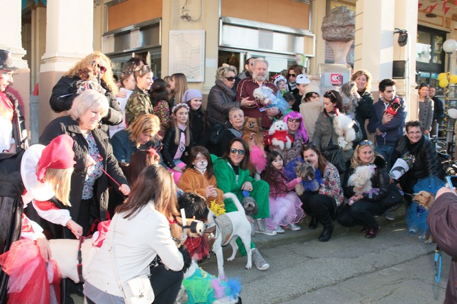 Ingrandisci la foto