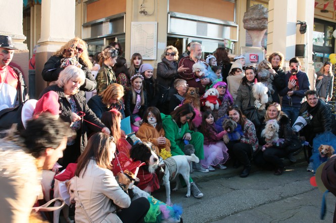 Ingrandisci la foto