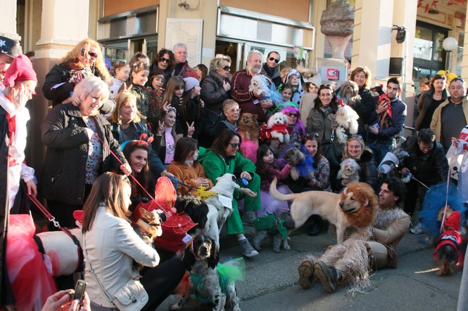 Ingrandisci la foto