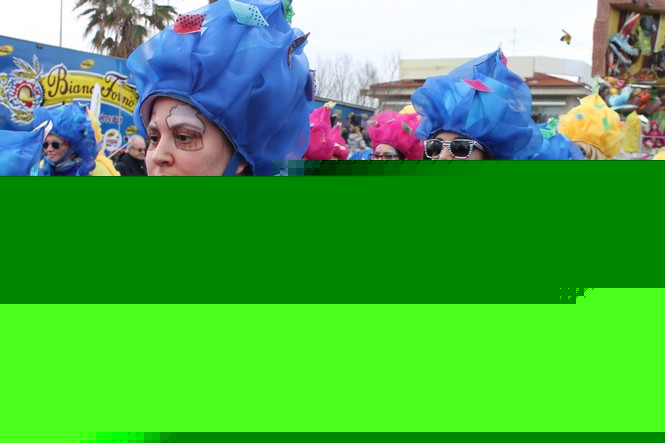 Ingrandisci la foto