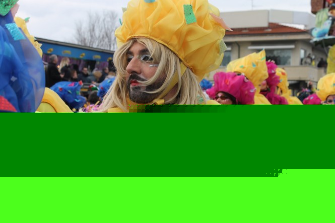 Ingrandisci la foto