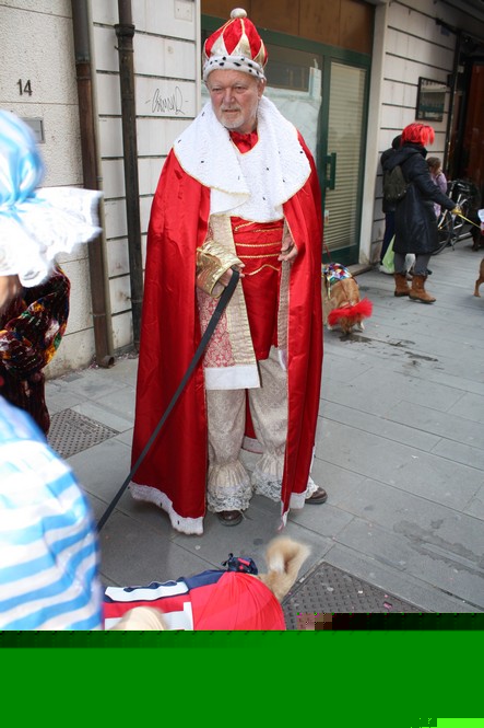 Ingrandisci la foto