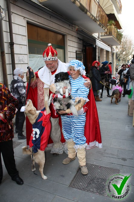 Ingrandisci la foto