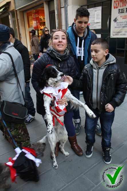 Ingrandisci la foto