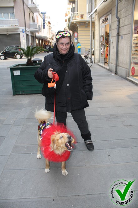 Ingrandisci la foto