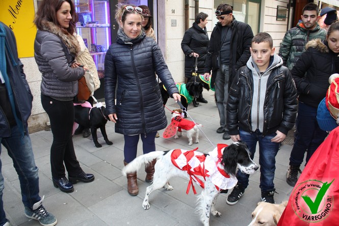 Ingrandisci la foto