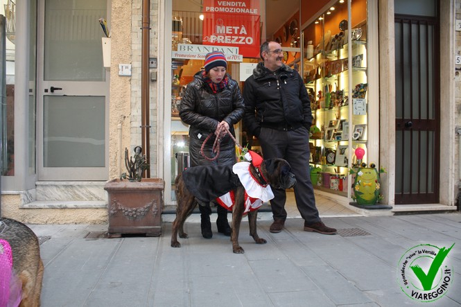 Ingrandisci la foto