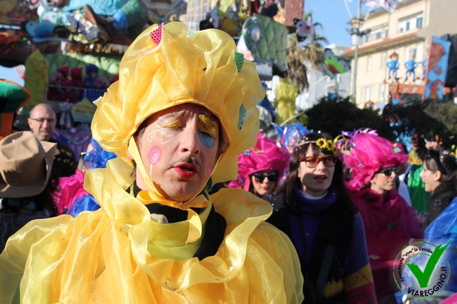 Ingrandisci la foto